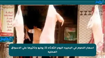 أسعار اللحوم في البحيرة اليوم الثلاثاء 22 يوليو وتأثيرها على الأسواق المحلية
